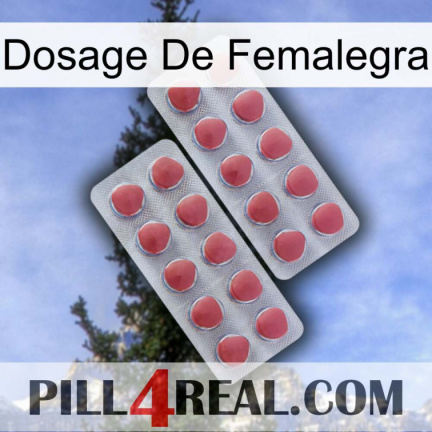 Femalegra Dosage 19